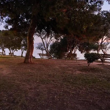 公寓 Seafront Luxury President Aegean Sunset